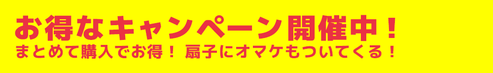 お得なキャンペーン開催中！期間延長12月20日まで‼